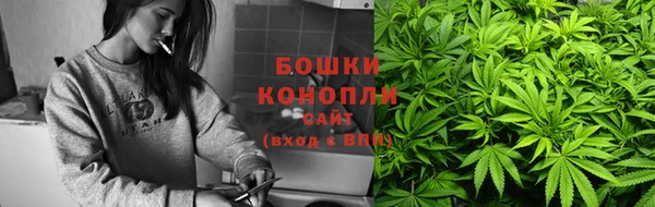 шишки Богданович